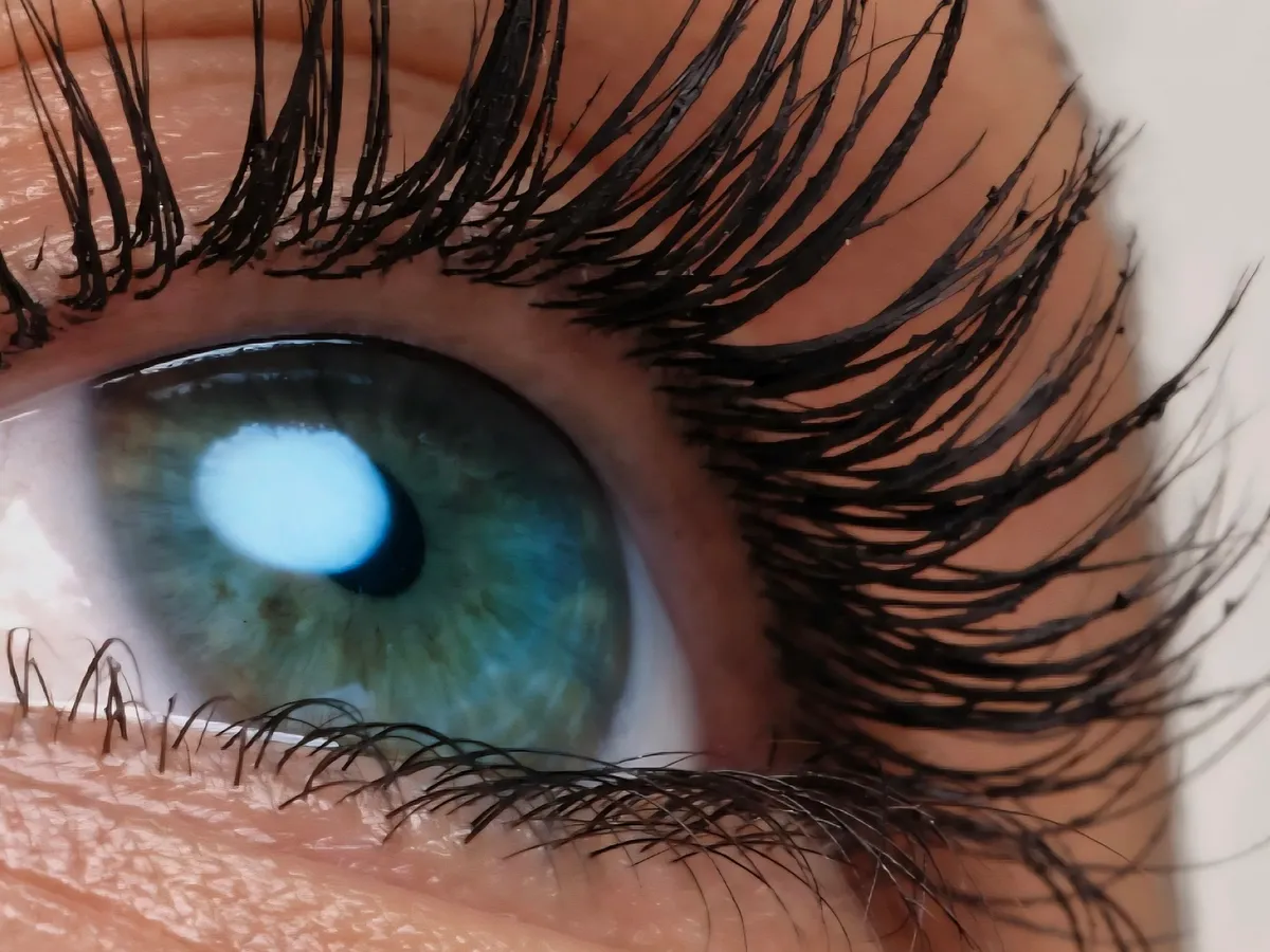 Wimpern